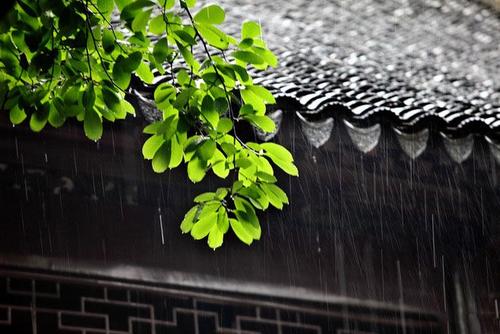 雨季湿气太重怎么办