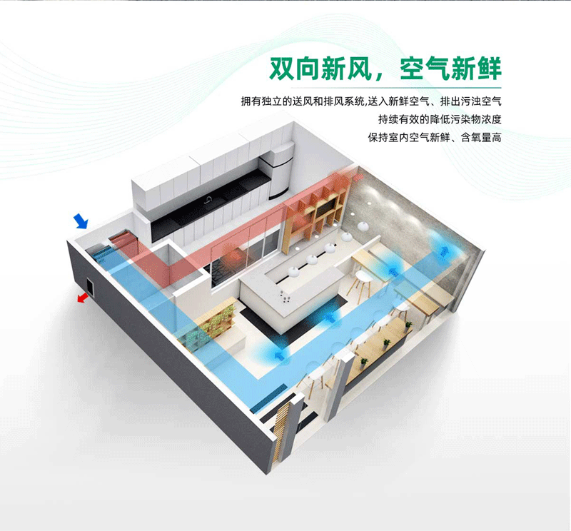 环都拓普中大型落地式商用新风系统